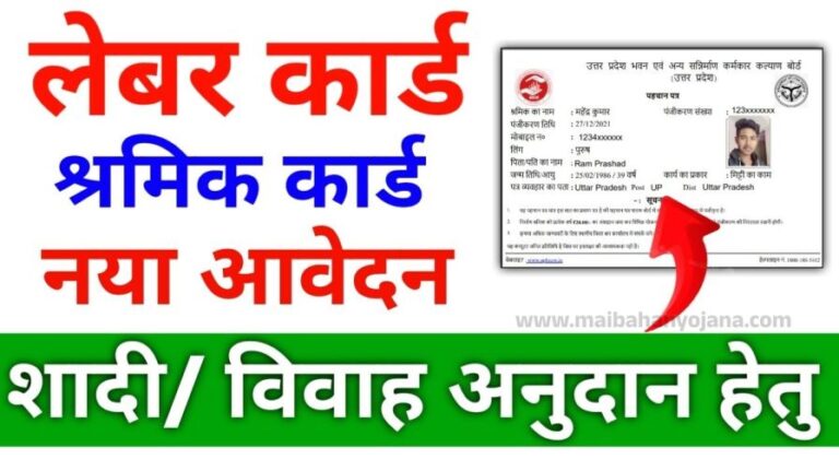 Labour Card New Update 2025