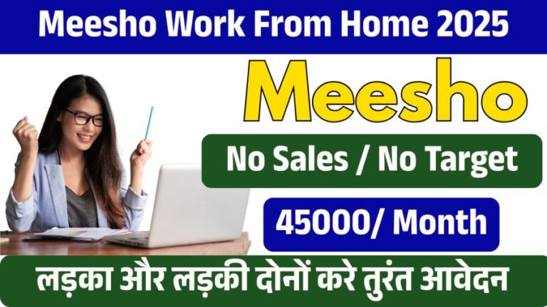 Meesho Work From Home 2025