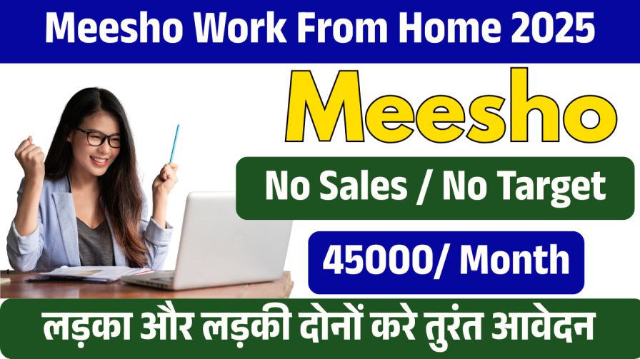 Meesho Work From Home 2025