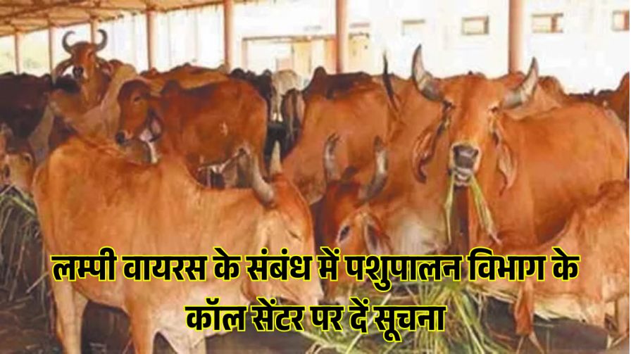 Lumpy skin disease virus isolation