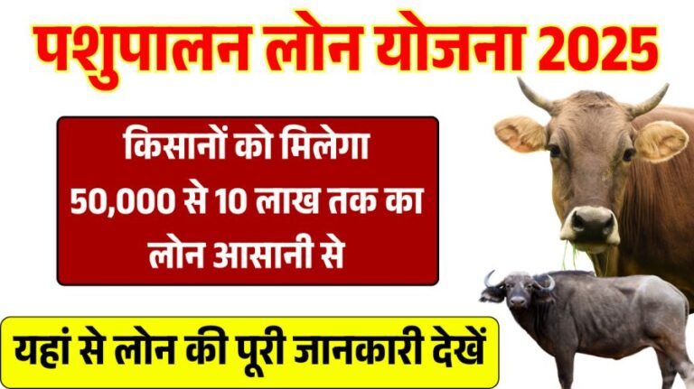 Pashupalan Loan Yojana