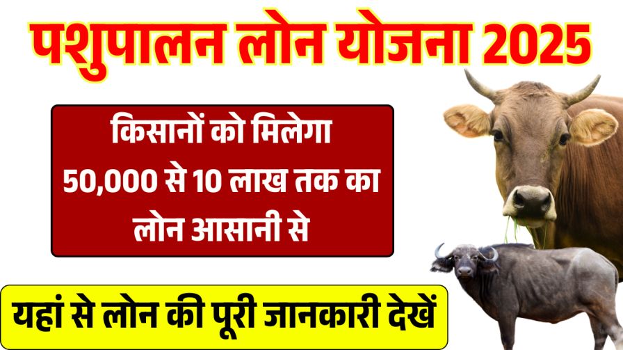 Pashupalan Loan Yojana
